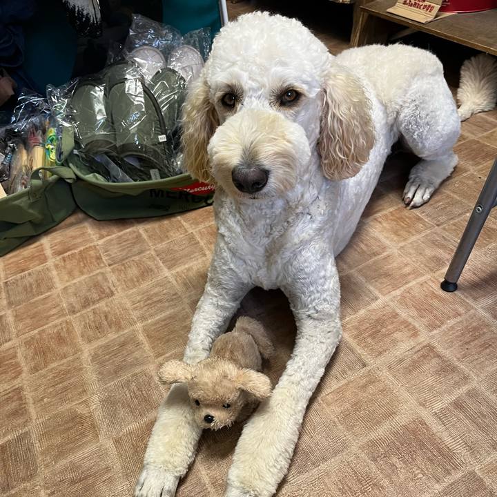 057122bc d4a3 46f2 ab40 8d1314dcab0e 1720444799420