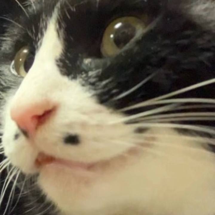 057135c6 a32a 4aab 92c6 62c663986989 1736910360646