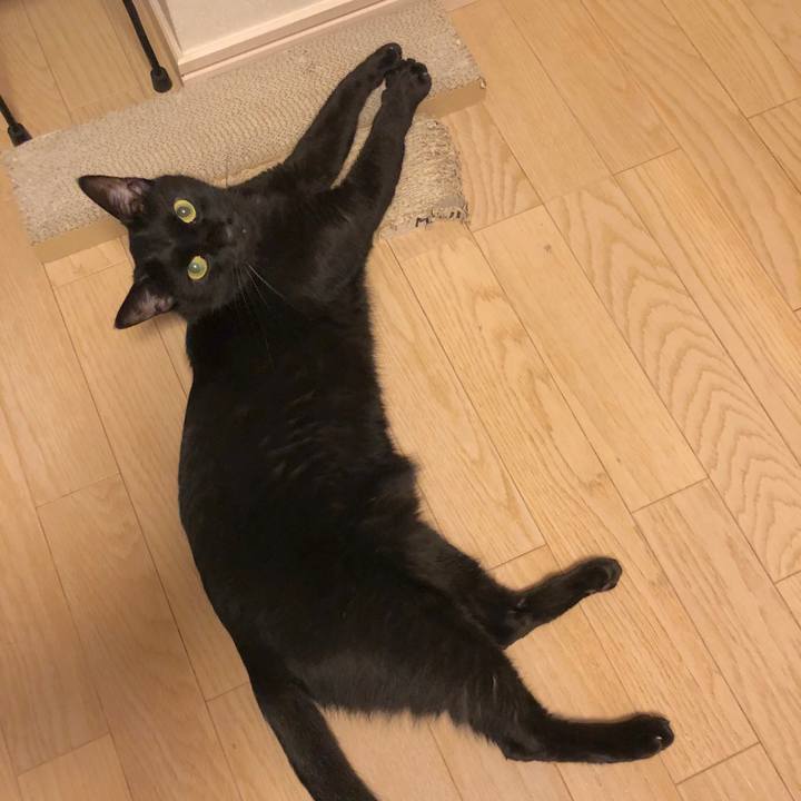 05715a7b 9301 4f48 88c6 8a559c4a4259 1539091673228