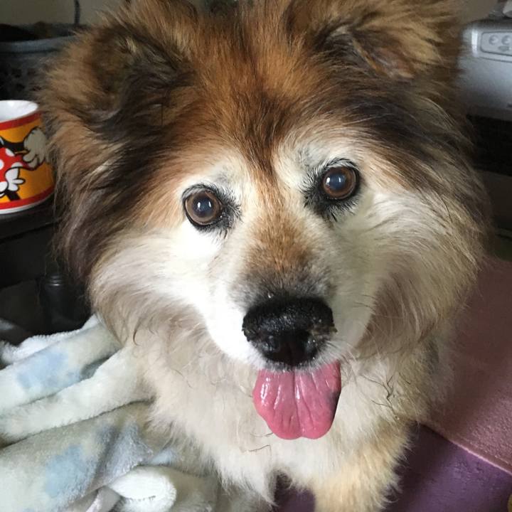 05718854 ab48 4387 9ef8 d876c2e9bdb2 1585012678849