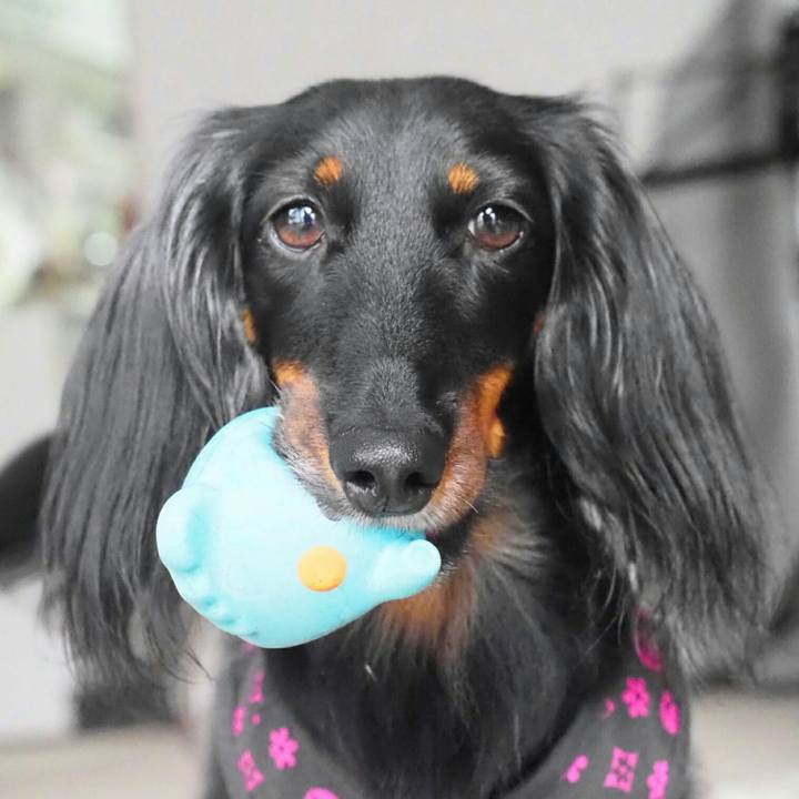 05718c59 3b5a 4eed 8a1c 73fc2c1872c5 1544233056449