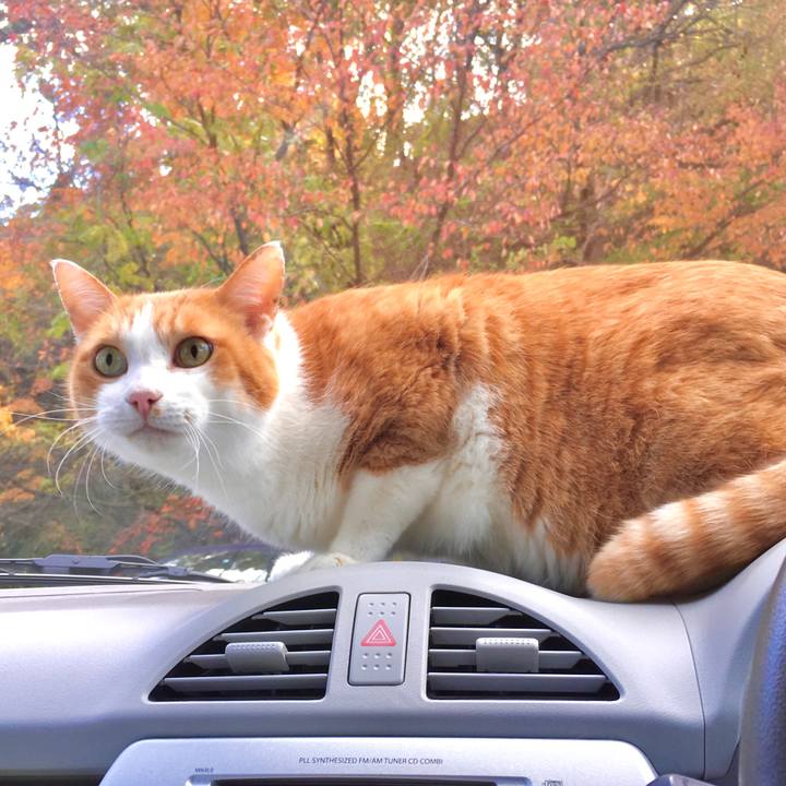 05718ec0 1040 4c19 a638 2bb4ccb8e092 1574419436286