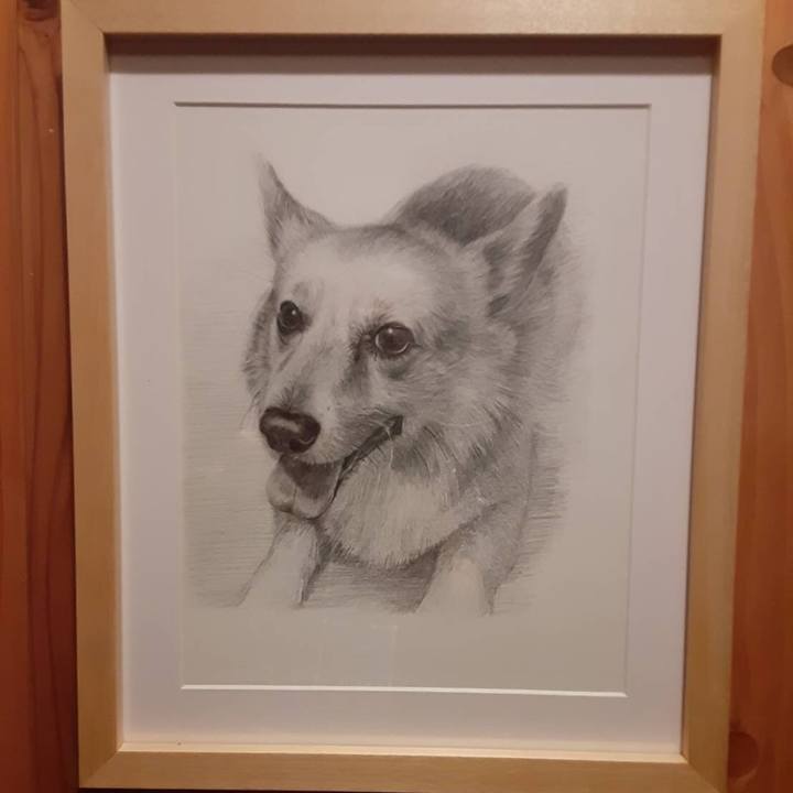 0571a551 177d 4d0a 8027 224bbe78421c 1584271241665