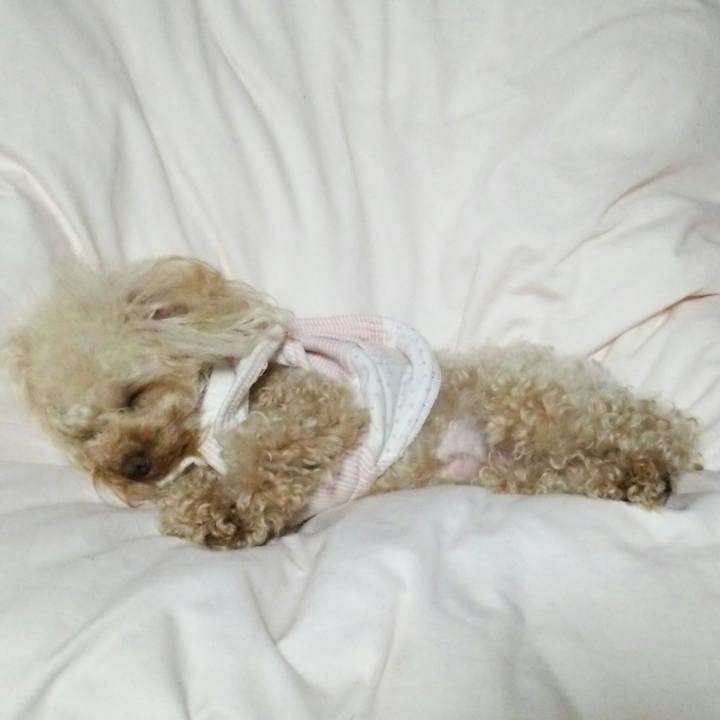 0572022f 0aaf 4309 8cdd f24494498174 1516452774398