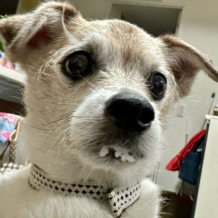 0572206f 38fb 4bf9 931b 9ec91872b600 1747564236647