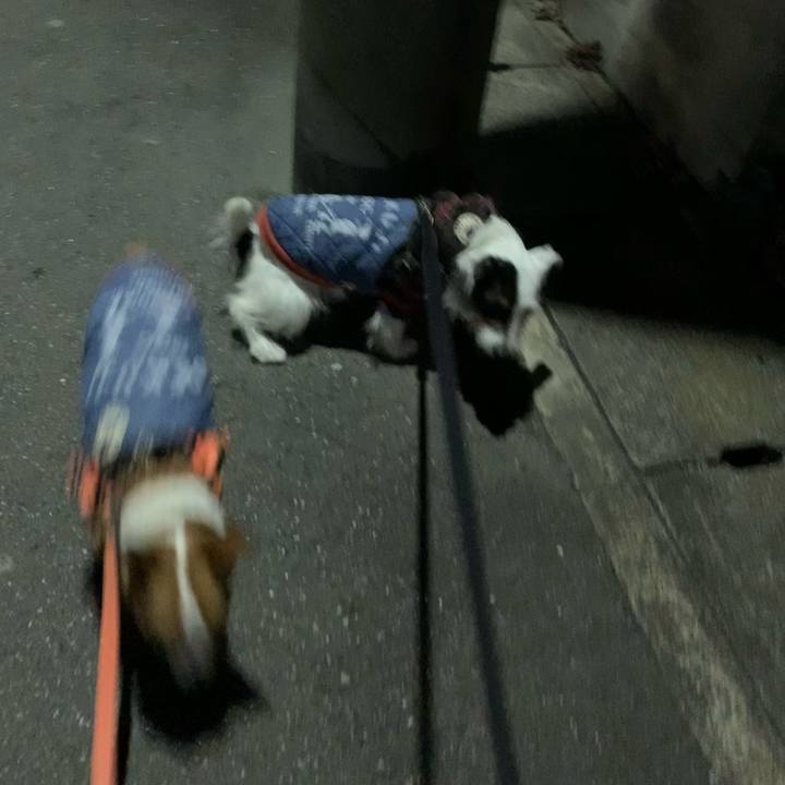 05723781 86a4 4086 ae61 c1a74ff26759 1640607208809