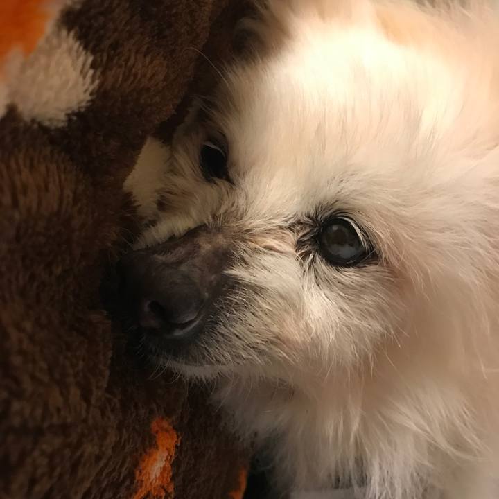 057248f7 3c17 4f78 8572 1c2c4ccdb0b3 1518607110307