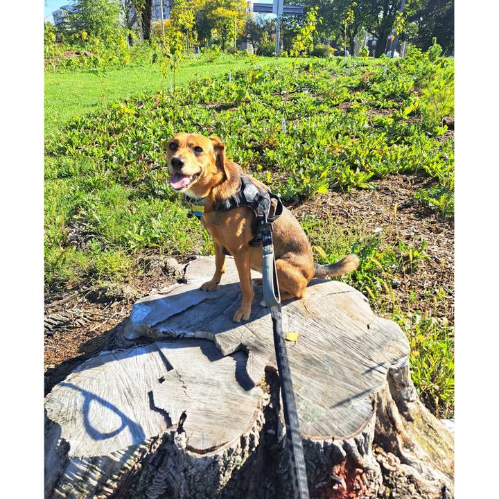 0572671b 3d76 45e8 9aad 3f4ddc57ee33 1758935856363