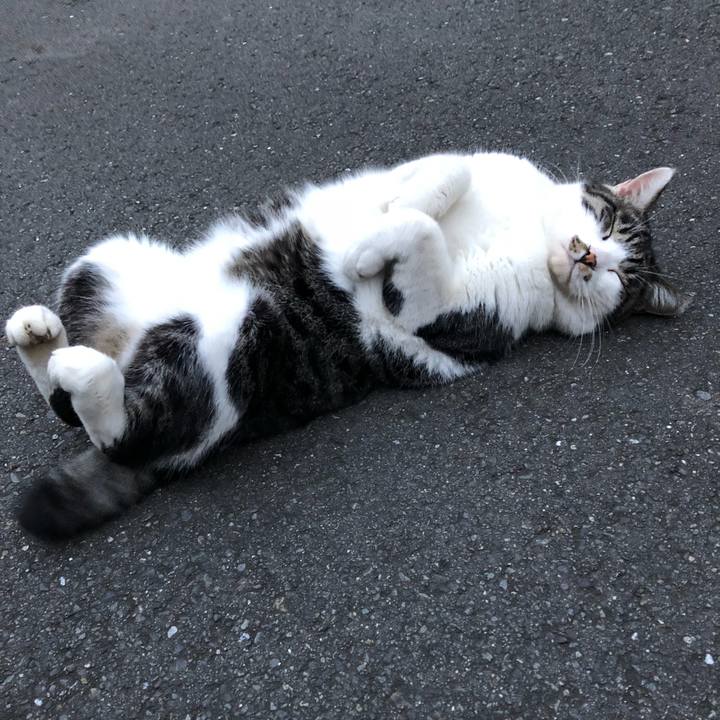 0572b22a 26be 4022 b68d 1ecd6e476243 1539859712742