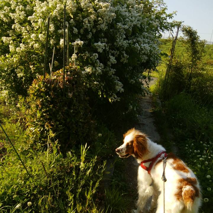 0572f067 843a 4a26 9fb3 a60737049a46 1525696639452