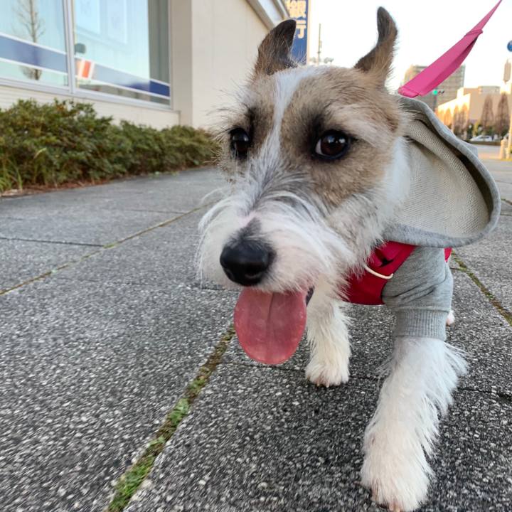 05730a67 08f8 4823 8d4d a1c5157f6f0f 1577779849236