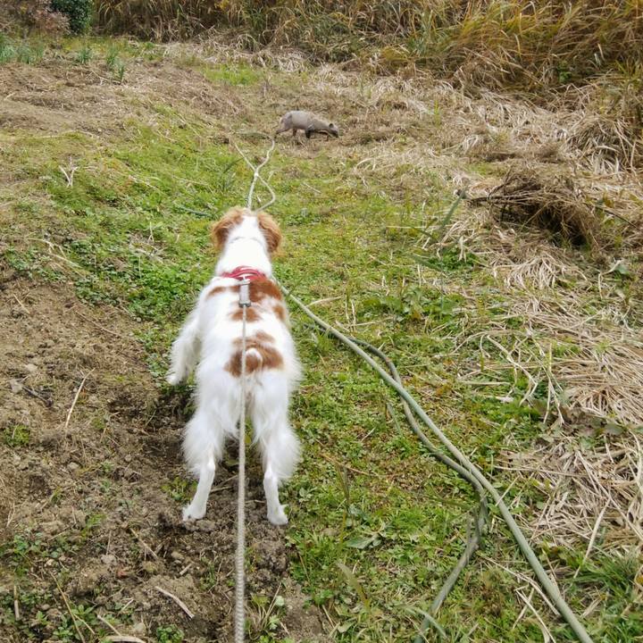 05732608 7504 4150 ab11 751354c93fd3 1543222306666