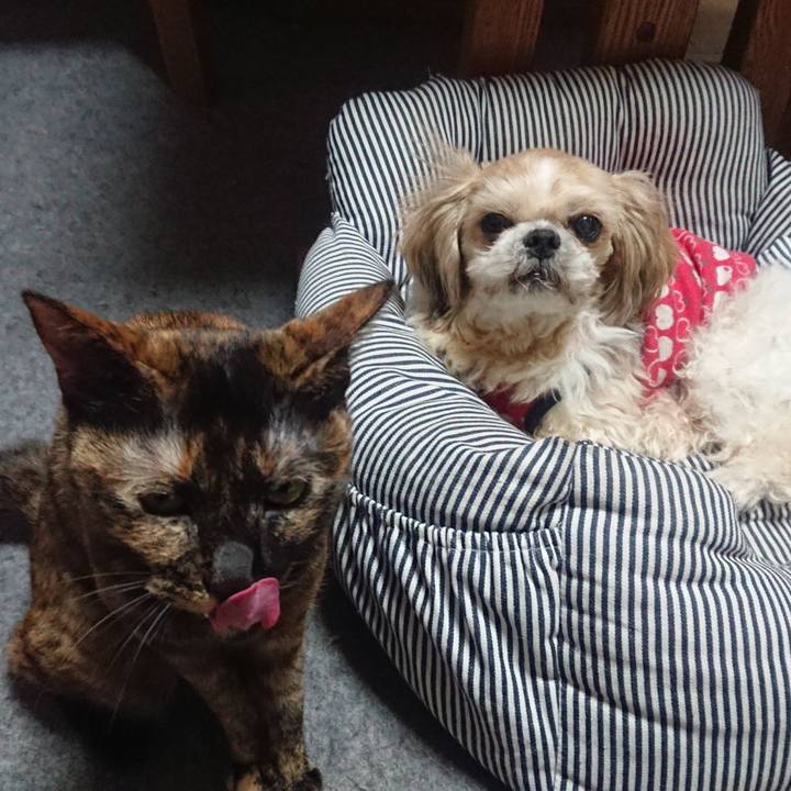 0573a231 0a27 47ac ae06 3c1c0c3a8a52 1515493439009