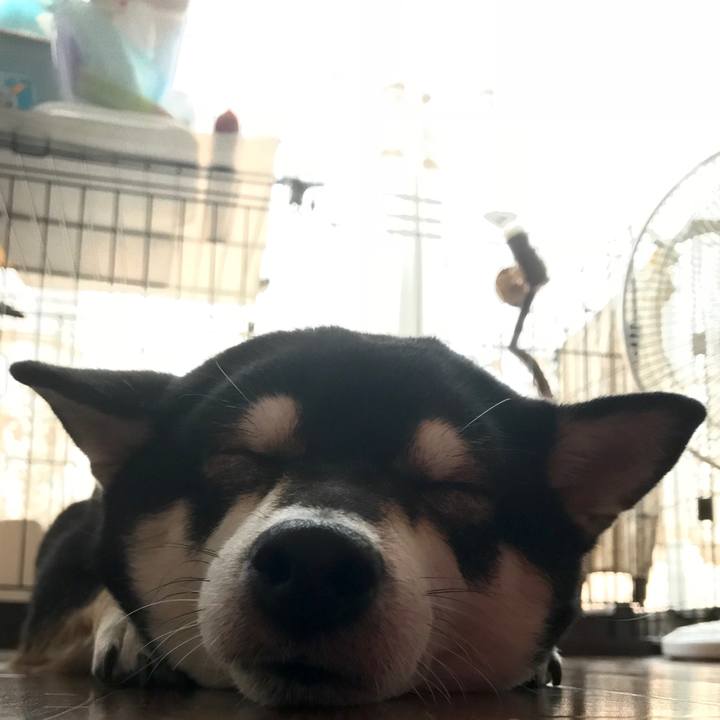 0573db6b e14e 4007 a1dd 054ca0b2b14f 1511408972153