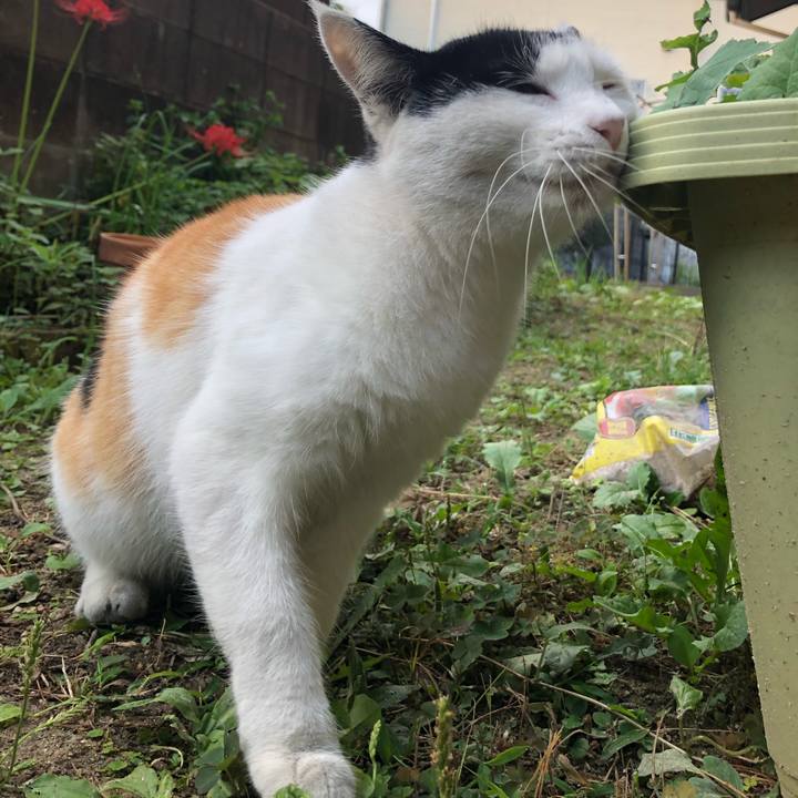 0573ee2e 4e90 42b5 8b77 bf87f5934072 1601417751144