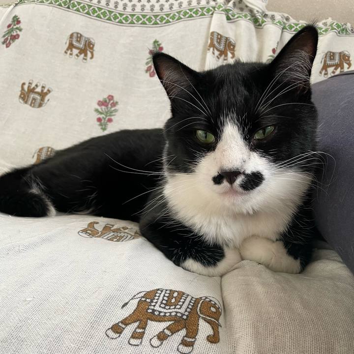 05741a6b ad65 44a7 9f44 2a1aaf54a811 1688261272803