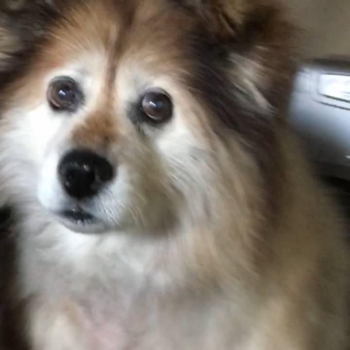 05743c4b d98b 4831 b79f 691d27512afa 1598003051447