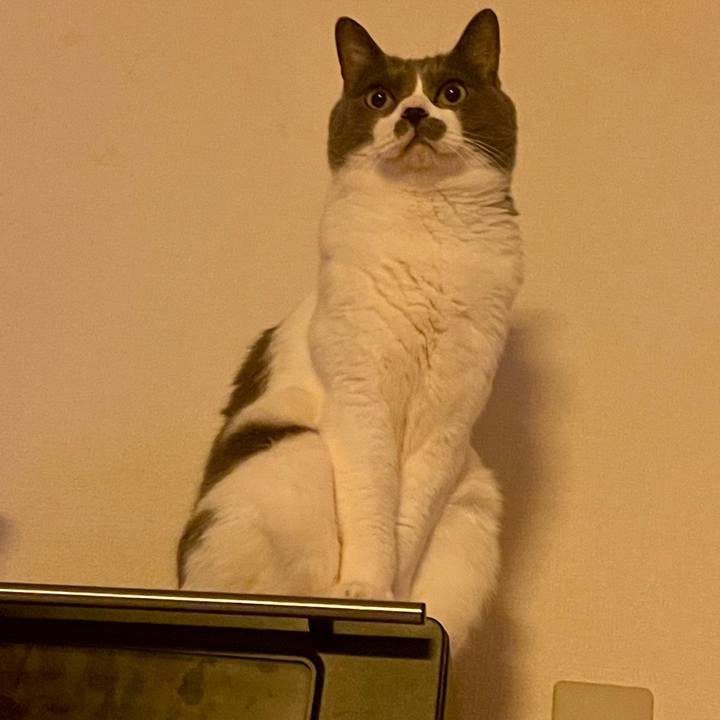 05744184 75ed 41ed 99bb 9ab2d2baa265 1735429079240