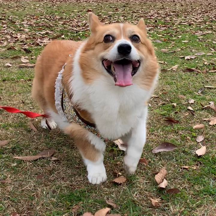 05746540 89c3 4eef a596 0781bd36da16 1669688707610