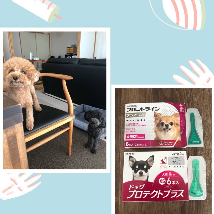 057486f8 89f4 4e32 98ef 2063a6cf7a07 1599566071162