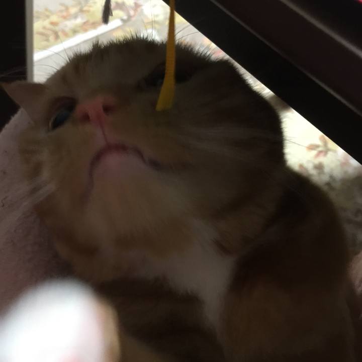 0574b1cd 2aed 4400 8697 b0640359f9d5 1519345206110