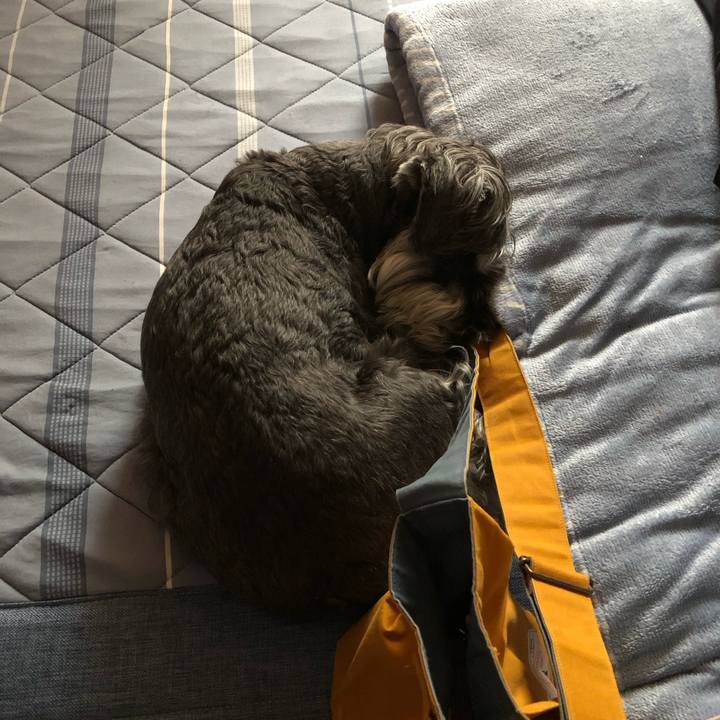 0574e822 ccfd 4100 9618 065a287696a4 1690103584438