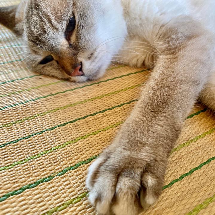 0574ff5e 71ac 4609 be78 c202cd1e439d 1597393026450