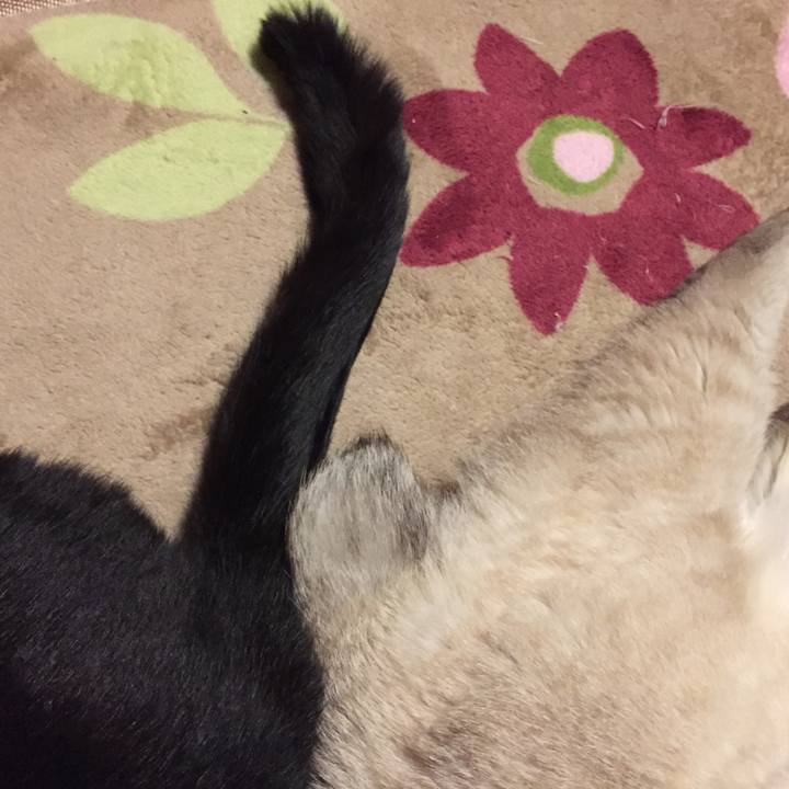 05750c05 cd6d 4f53 b7db b8fe9628ec5e 1547212502917