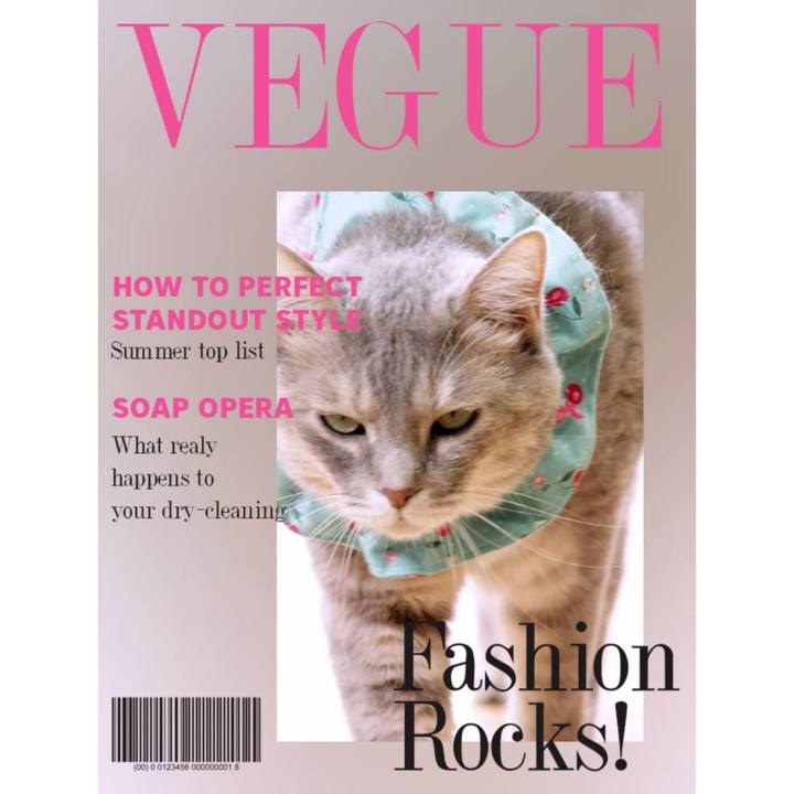 05751f4f b7f2 4e6b 9356 6ca6c5e7c470 1660144314241