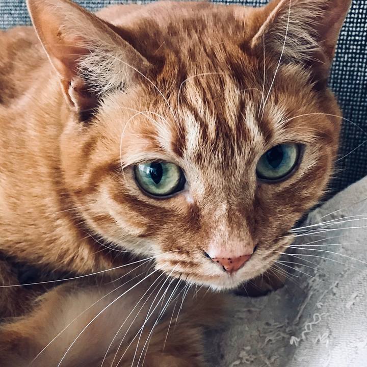 0575534d 596a 474d a6cc 9adb85cce89e 1515245915989