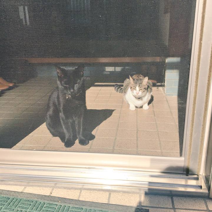 05755b6d b534 4eb1 b9a7 5752dabfcfc2 1509412189667