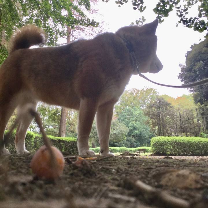 05757c95 bdef 4325 8f07 2c1fe0509d71 1602050630807