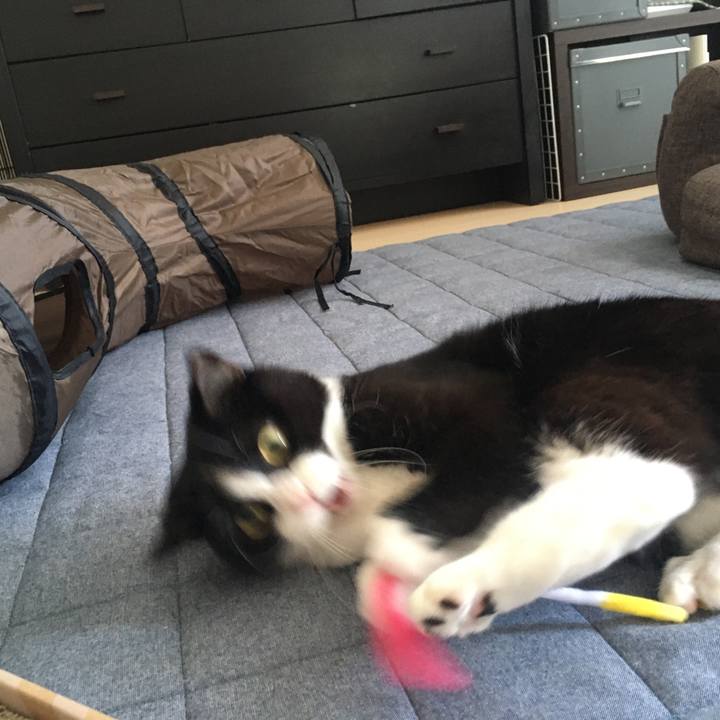 05758e98 f1ca 4ce4 82e2 b2664adf7d03 1593321276477