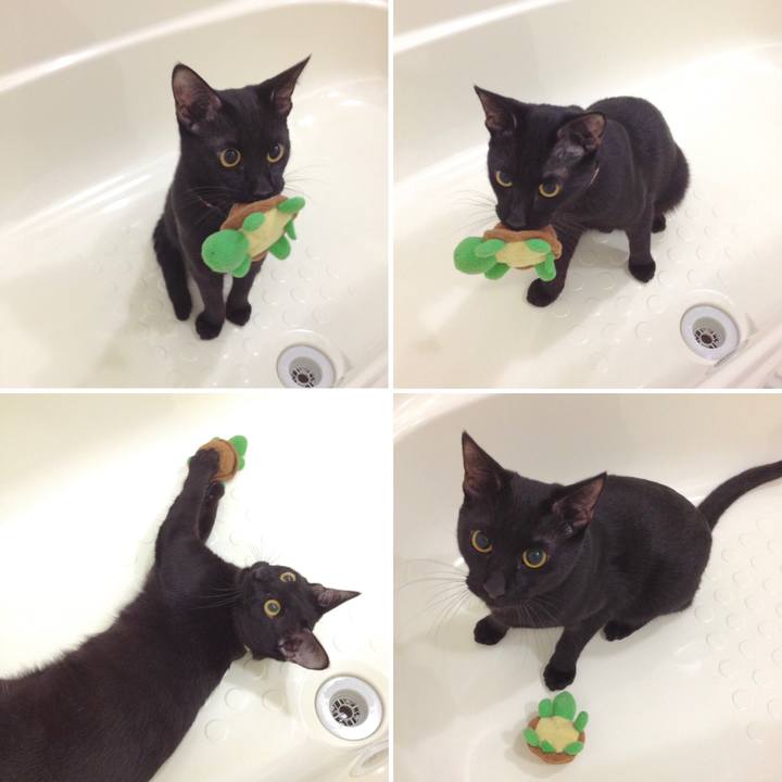 057599d7 6249 4ce2 8d19 e633f4ec3f3c 1594731523660