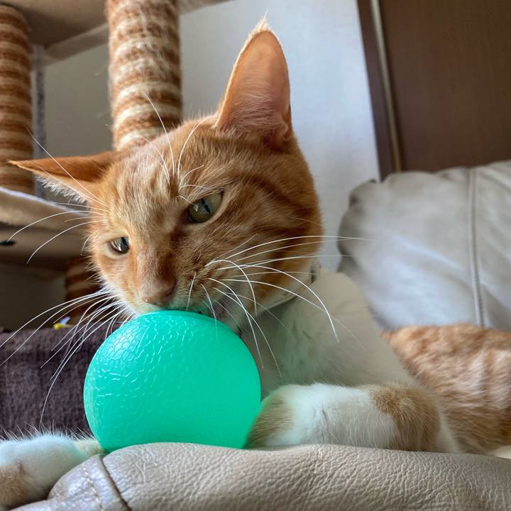 05759c53 e9b5 4b32 9a78 94c73415de65 1624703422073