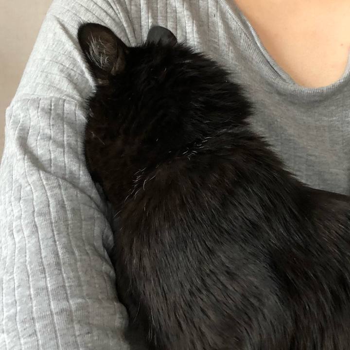 0575caf4 a2af 4cd7 bafc 581d23f07c31 1587200438592