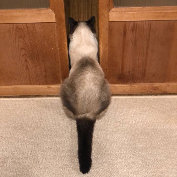 0575e2ee c830 4ff8 900d 1708293f3738 1630119327684