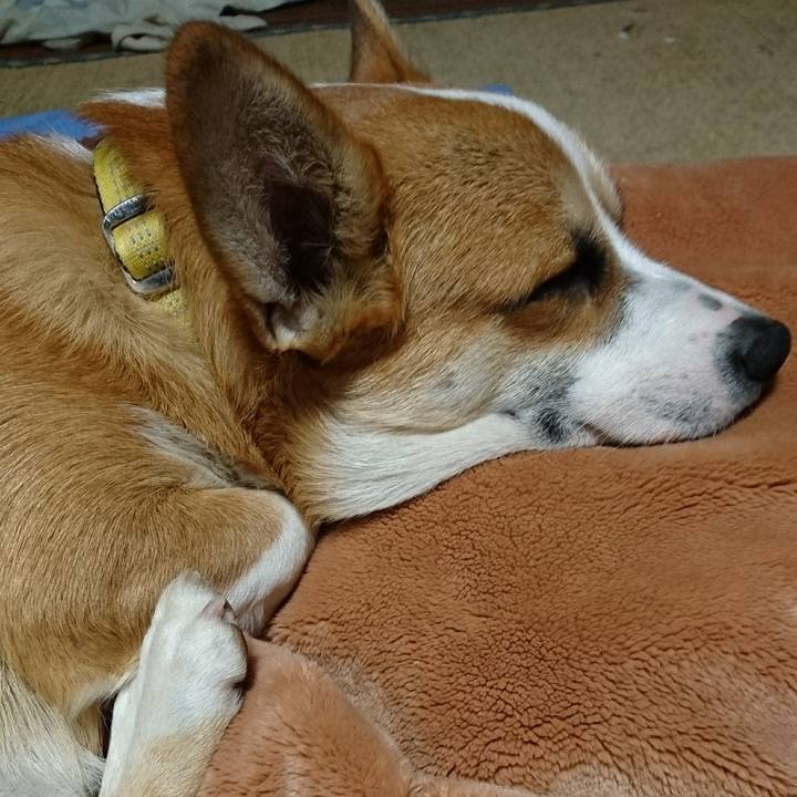 0575e724 19c8 43f2 8f4f 6ae459340820 1573293679545