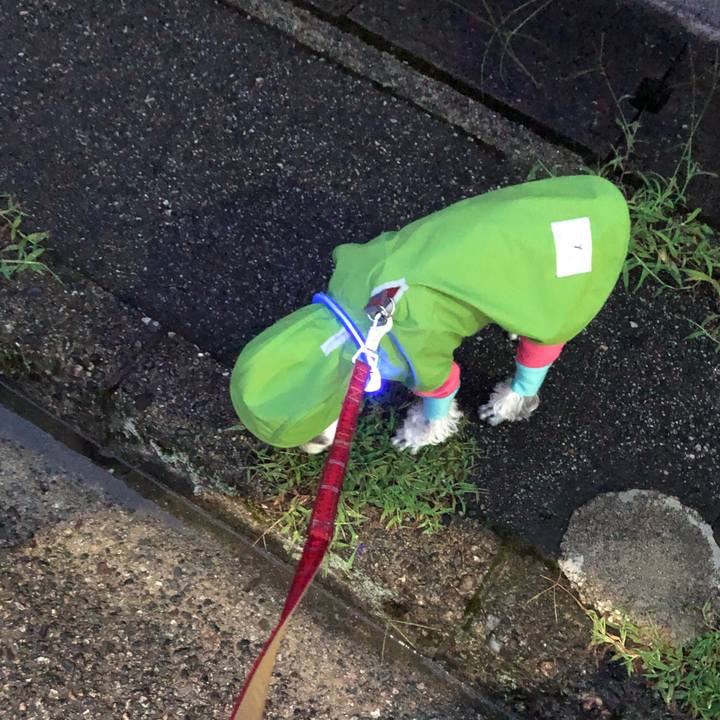 05769e09 68a6 4584 b670 f980da975e67 1661433610551