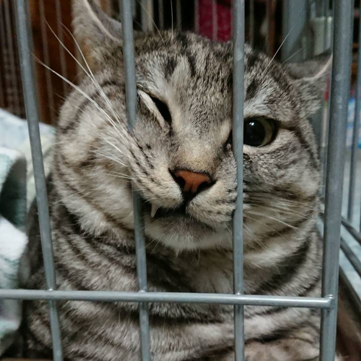 0576c5c8 0210 4bdb 844f b686212afcc5 1512825804118