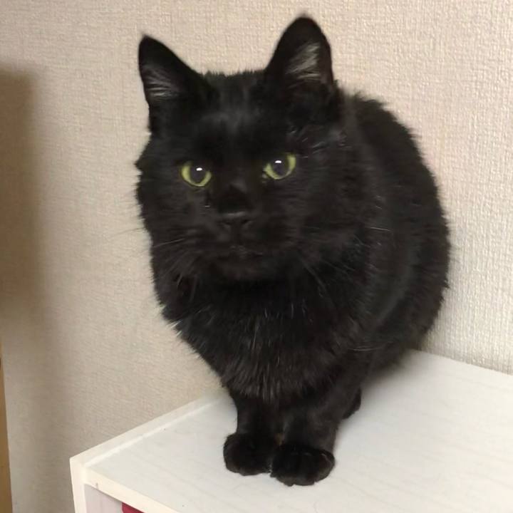 0576f67b 88cc 41da 8b82 f8b2187a231c 1611009111586