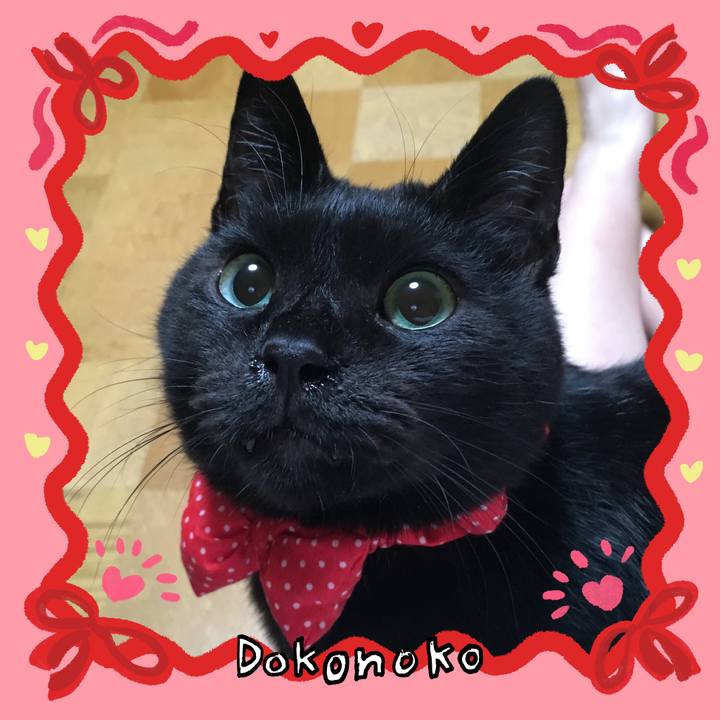 05770b95 df8a 49f5 87d3 44d4a1e3014f 1706909827115