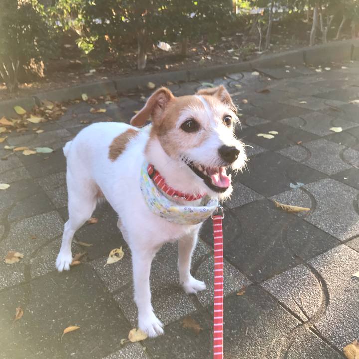 05770f13 23fd 4585 94f4 d4d7a915726b 1567389823362