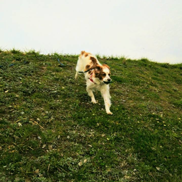 05775f63 7073 4ed4 ade2 f9ea8e791c6e 1551517080919