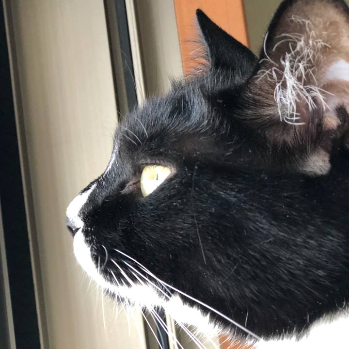 05777d0d 3943 479c 805f 3533d983900b 1525472036274