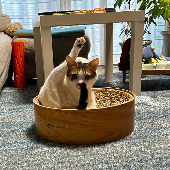 0577ae92 7ab8 410b bbcc 53bd96149264 1758494705454