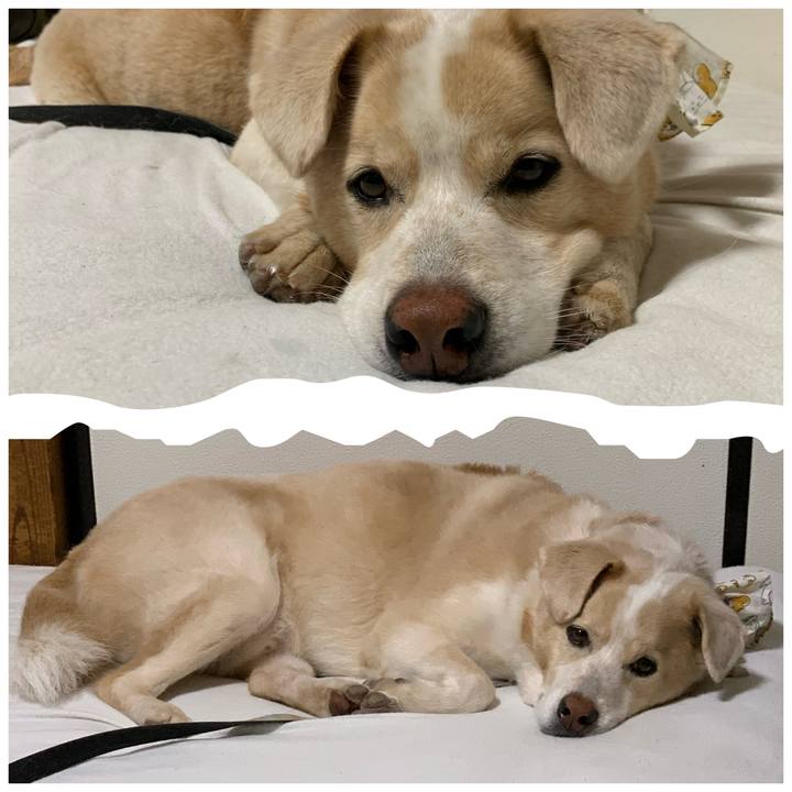 0577bf06 fb98 46f8 8e1d be59d704dd74 1596286125986