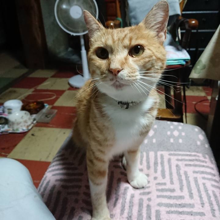 0577c77b 6754 447c 8779 cc728b6c3814 1594064733233