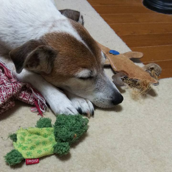 05780f29 6e1b 420c a23c bf6898695cef 1523024162417