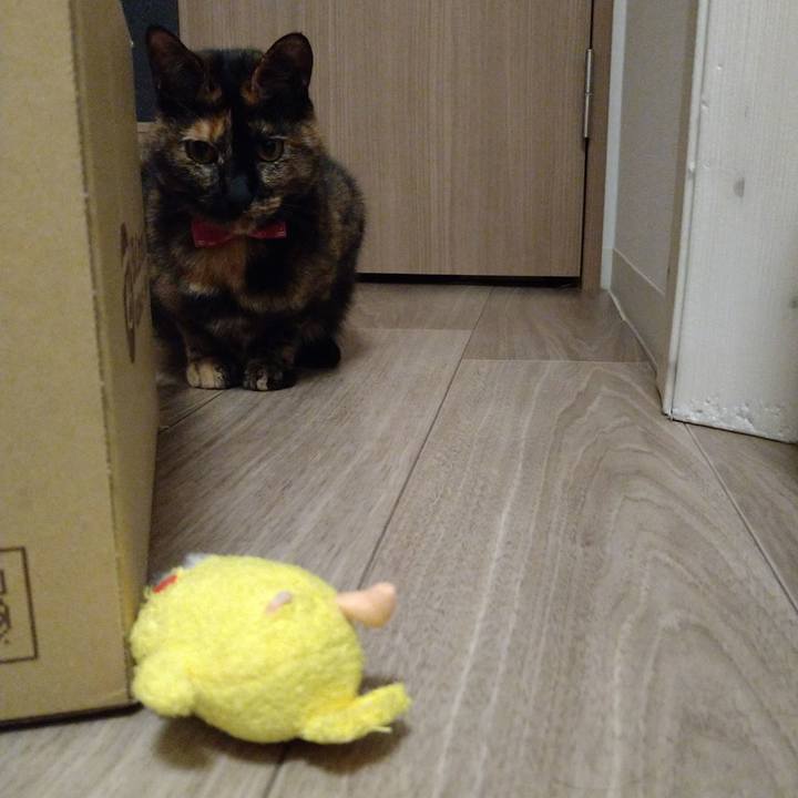 05781251 9d8e 468d 86cd 7e9acfbdea93 1611930947969